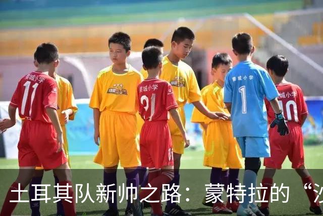 土耳其队新帅之路：蒙特拉的“沙滩旅行”要结束了！